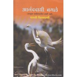 Ananddayi Bagale
