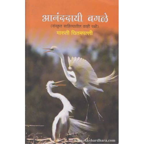 Ananddayi Bagale