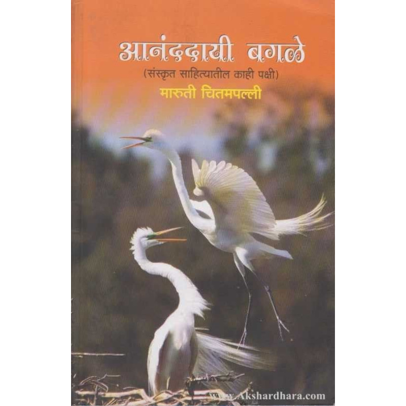 Ananddayi Bagale